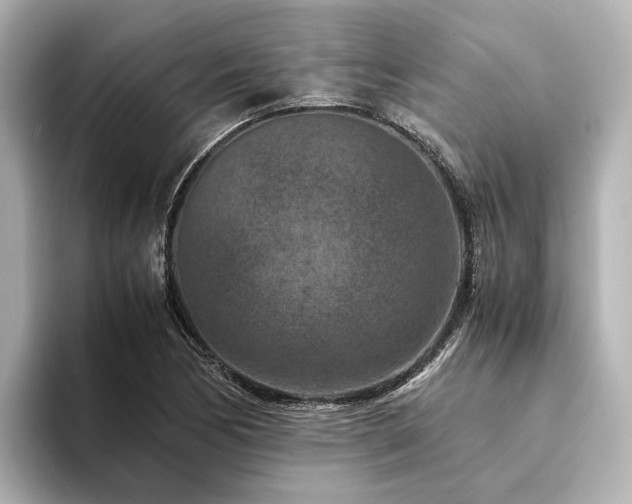 X0000094341170200711021445