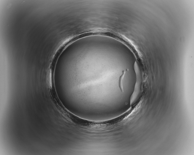 X0000094341171200711021445