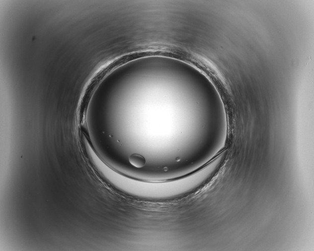 X0000094341172200711021445