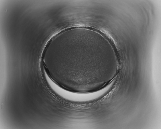 X0000094341173200711021445