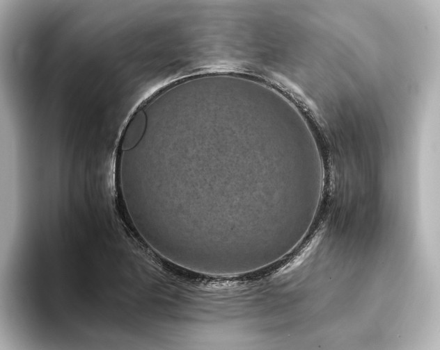 X0000094341174200711021445