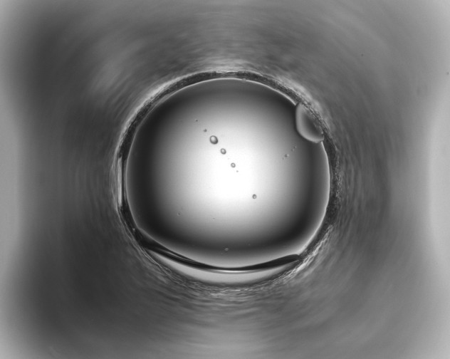X0000094341175200711021445