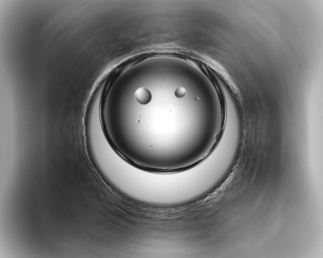 X0000094341176200711021445