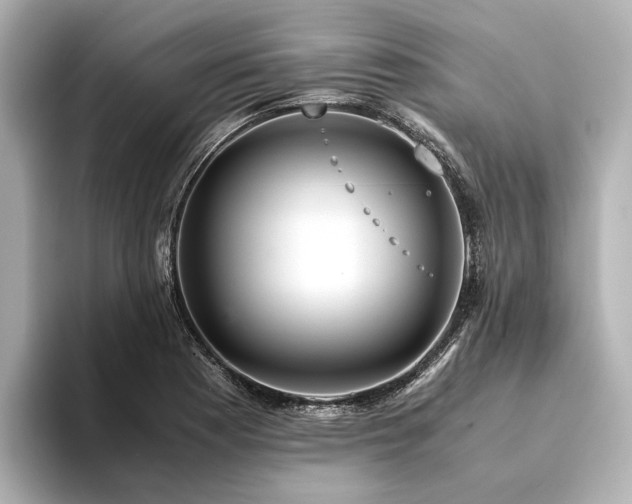X0000094341177200711021445