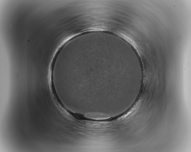 X0000094341179200711021445