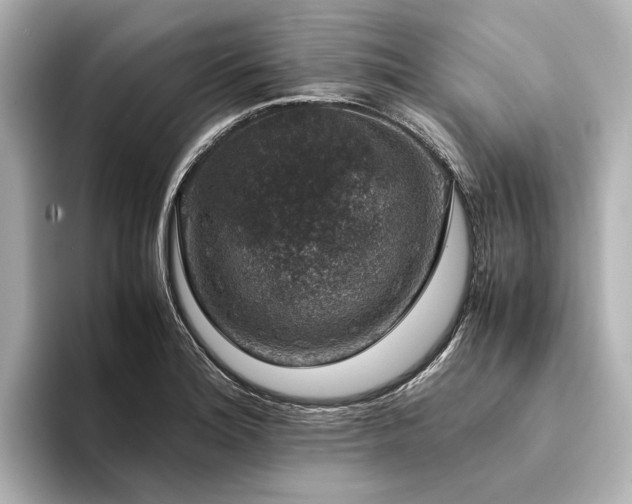 X0000094341180200711021445