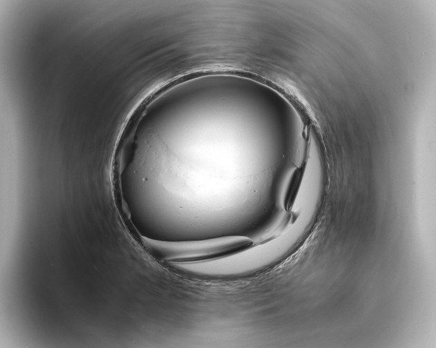 X0000094341181200711021445