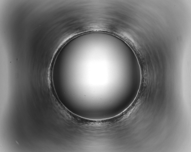 X0000094341182200711021445