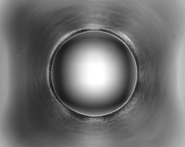X0000094341183200711021445
