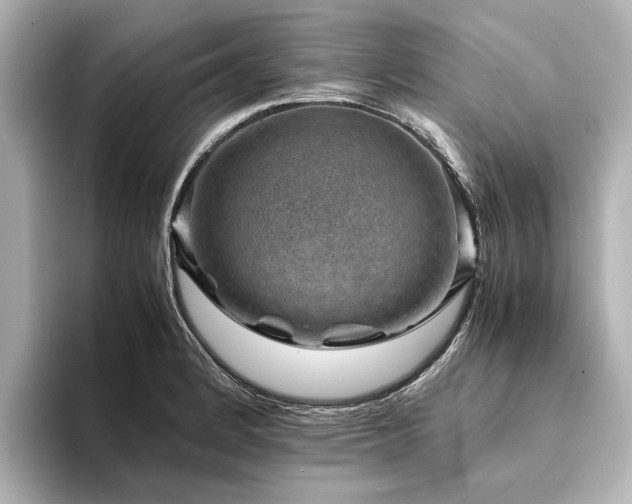 X0000094341184200711021445