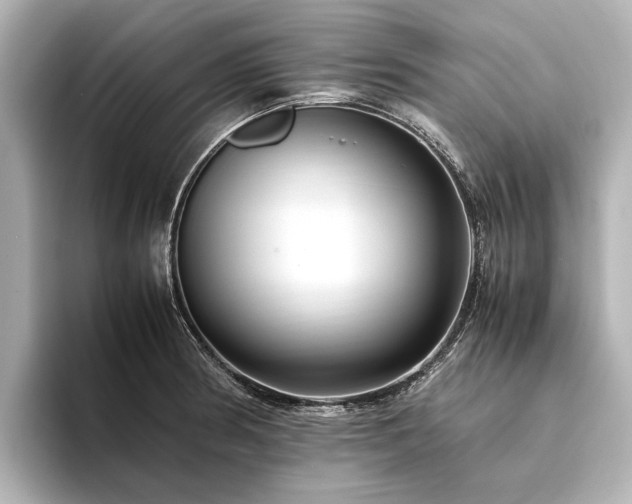 X0000094341186200711021445