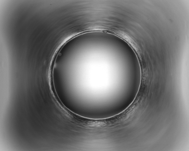 X0000094341187200711021445
