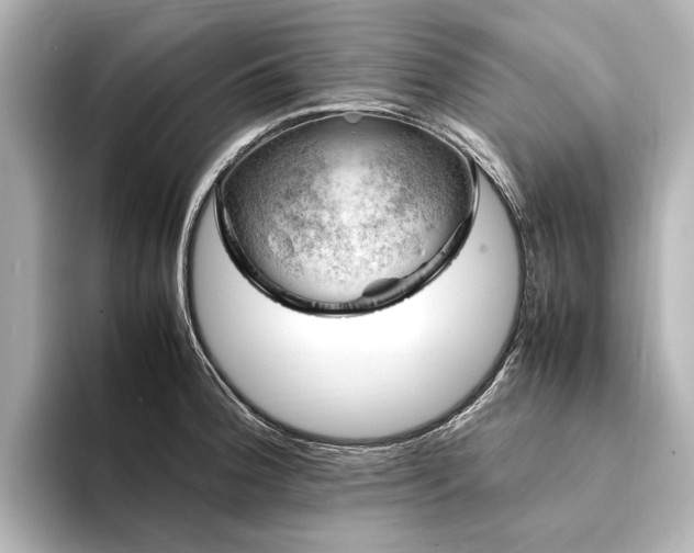 X0000094341188200711021445