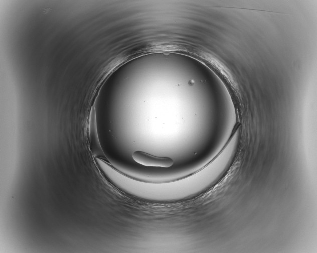 X0000094341193200711021445