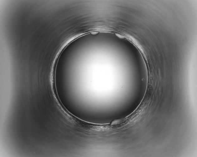 X0000094341195200711021445