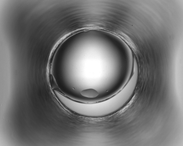 X0000094341196200711021445