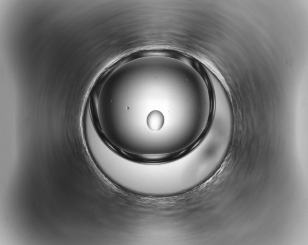 X0000094341197200711021445
