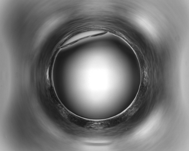 X0000094341198200711021445