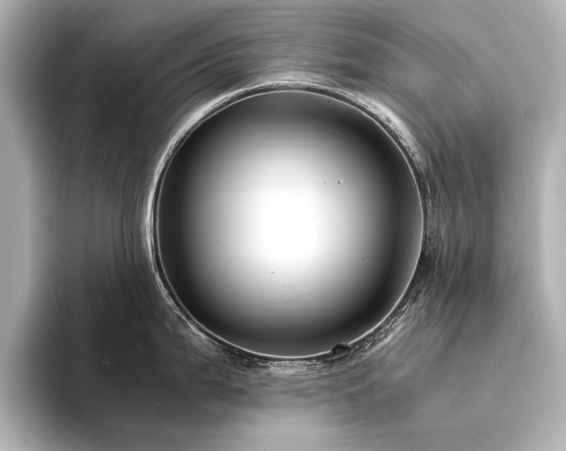 X0000094341199200711021445