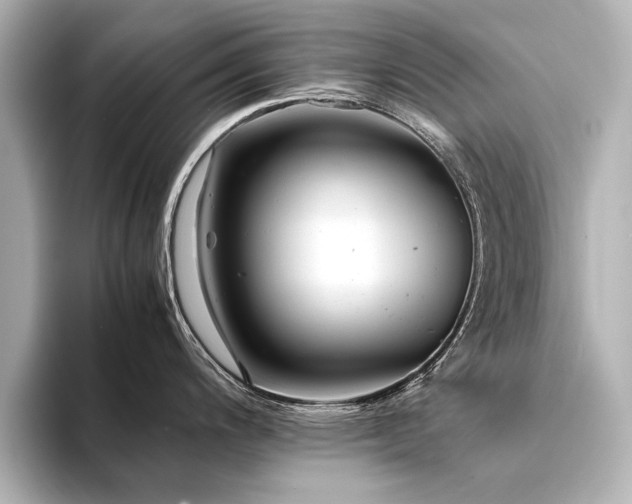 X0000094341200200711021445