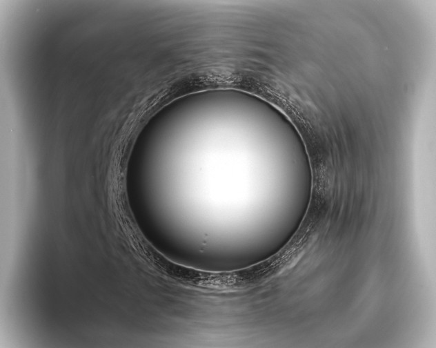 X0000094341201200711021444