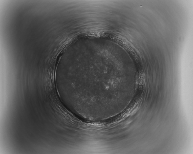 X0000094341202200711021444