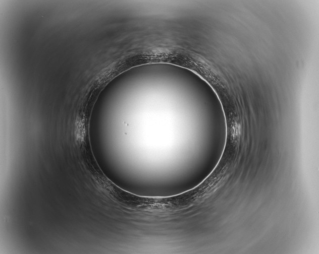 X0000094341204200711021444