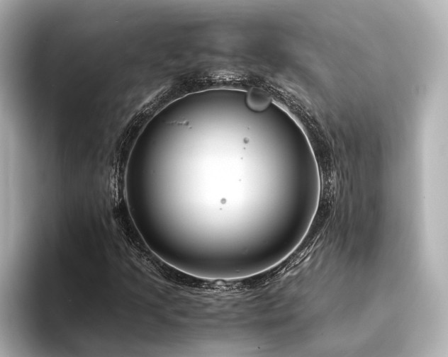 X0000094341205200711021444