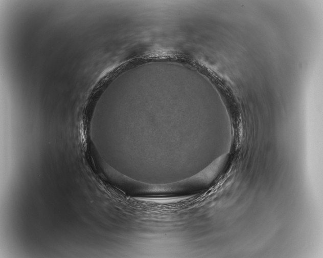 X0000094341206200711021444