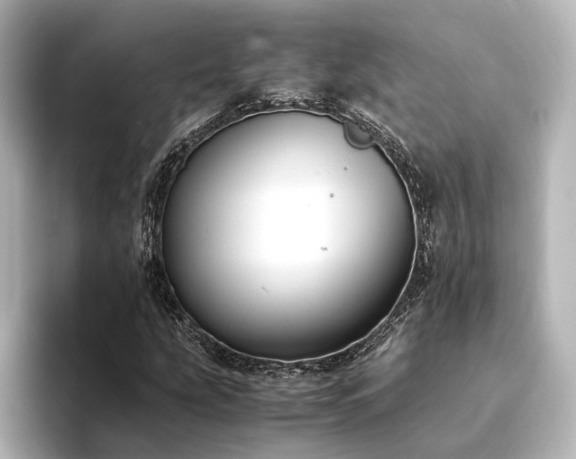 X0000094341207200711021444