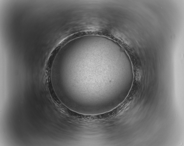 X0000094341208200711021444