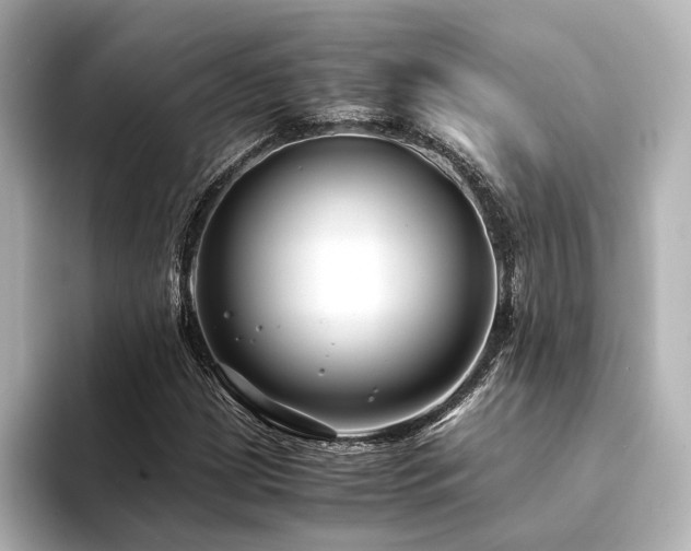 X0000094341209200711021445