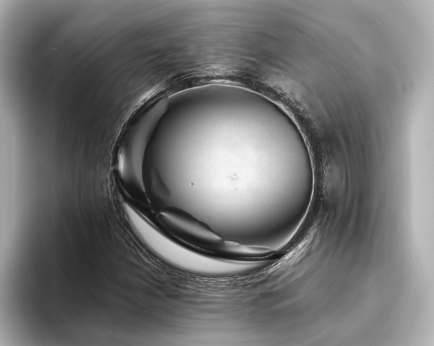 X0000094341210200711021445