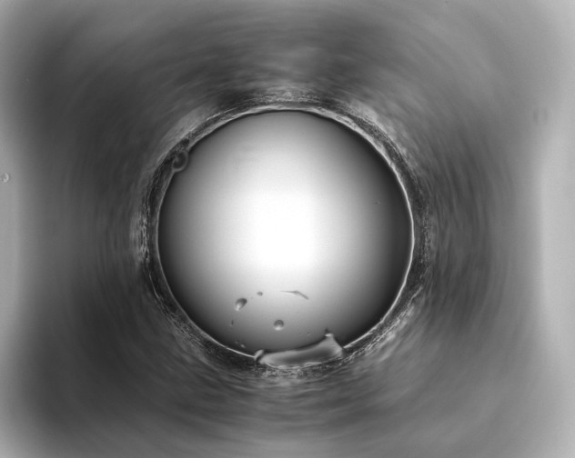 X0000094341211200711021445