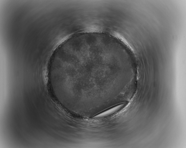 X0000094341213200711021445