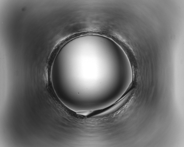 X0000094341214200711021445