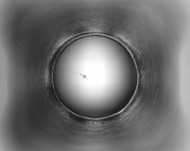 X0000094341215200711021445