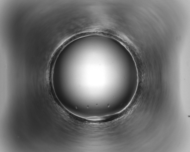 X0000094341216200711021445