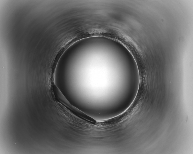 X0000094341217200711021445