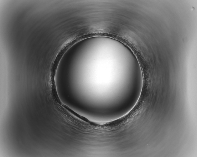 X0000094341218200711021445