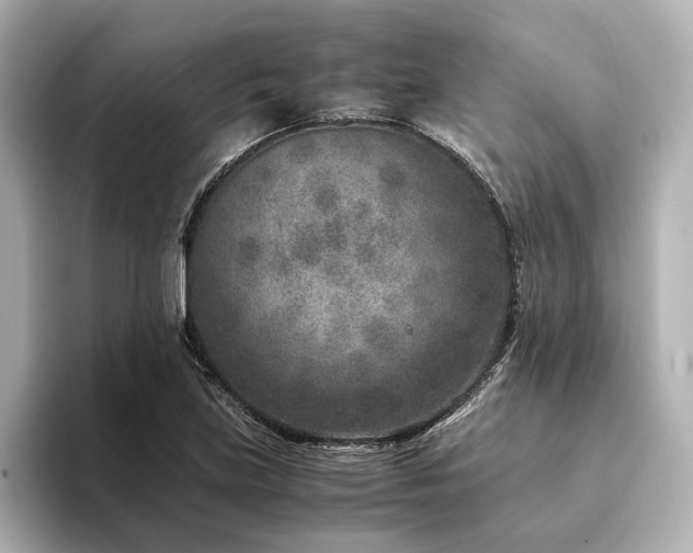 X0000094341219200711021445