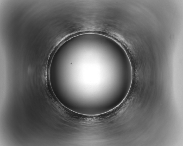 X0000094341220200711021445