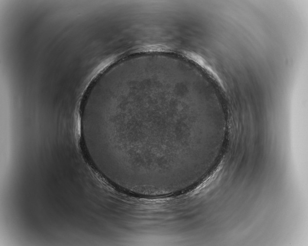 X0000094341221200711021445
