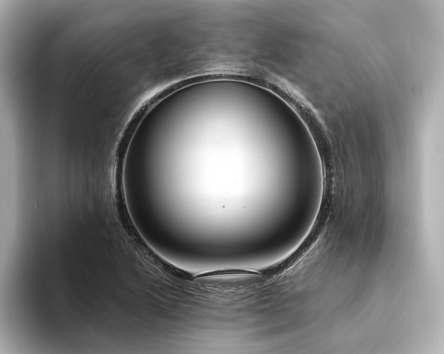 X0000094341222200711021445