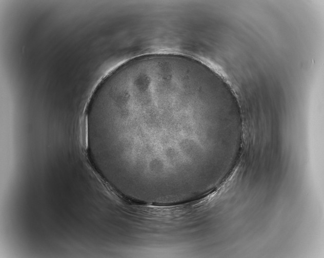 X0000094341223200711021445
