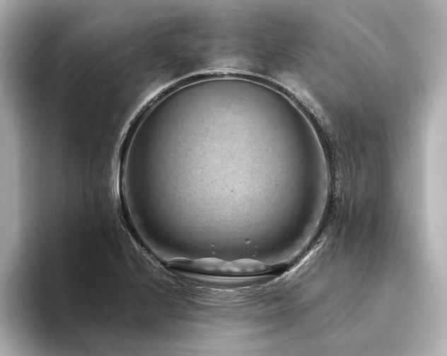 X0000094341224200711021445