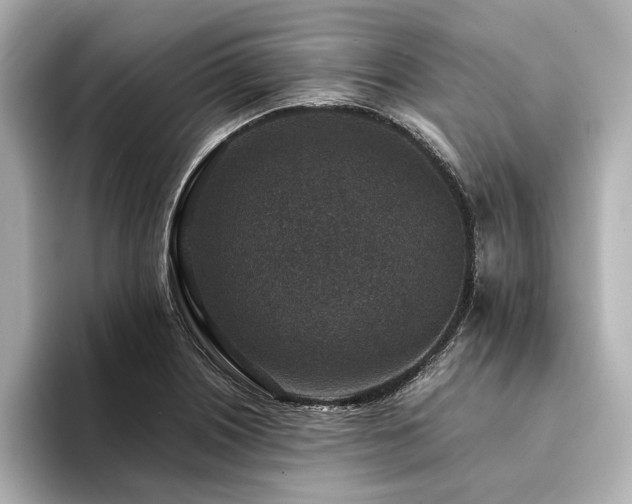 X0000094341226200711021445