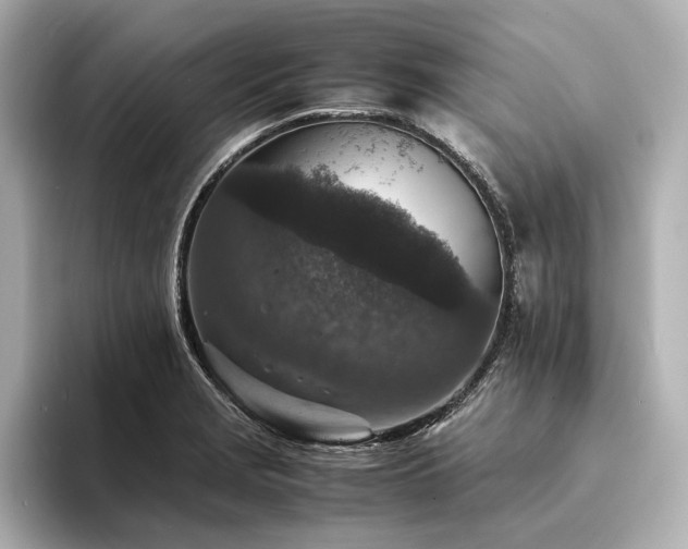 X0000094341229200711021445
