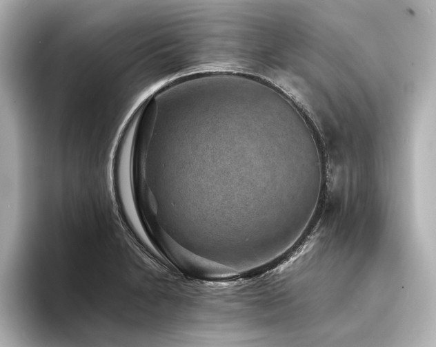 X0000094341230200711021445