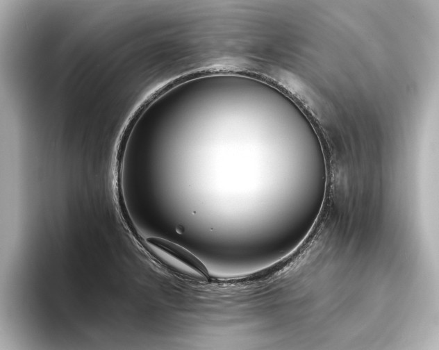 X0000094341232200711021445